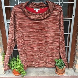 Coldwater Creek metallic stripe dressy cowl neck